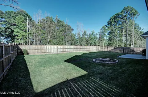 Exterior - 469 Crossvine Pl, Madison, MS 39110 photo 6 of 7