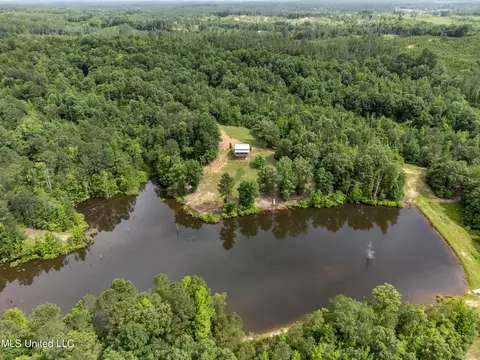 271 Socrates Rd, Kilmichael, MS 39747 photo 3