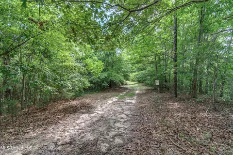 271 Socrates Rd, Kilmichael, MS 39747 photo 47