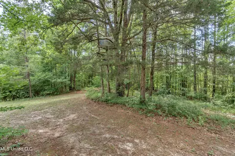 271 Socrates Rd, Kilmichael, MS 39747 photo 46