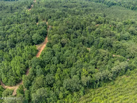 271 Socrates Rd, Kilmichael, MS 39747 photo 8