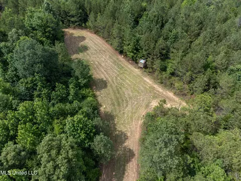 271 Socrates Rd, Kilmichael, MS 39747 photo 6