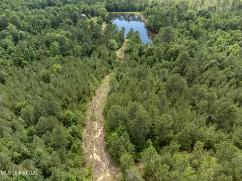 271 Socrates Rd, Kilmichael, MS 39747 photo 5