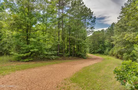 271 Socrates Rd, Kilmichael, MS 39747 photo 9