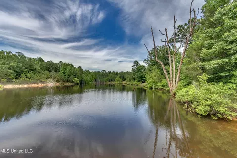 271 Socrates Rd, Kilmichael, MS 39747 photo 48