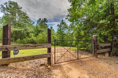 271 Socrates Rd, Kilmichael, MS 39747 photo 10
