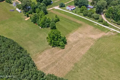 2645 Odom Road 2e, Hernando, MS 38632 photo 5