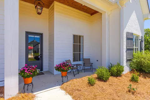 Exterior - 216 First Colony Blvd, Madison, MS 39110 photo 13 of 14