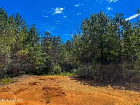 Jupiter Road, Mendenhall, MS 39114 photo 39