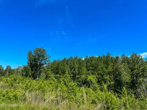 Jupiter Road, Mendenhall, MS 39114 photo 32