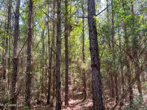 Jupiter Road, Mendenhall, MS 39114 photo 24