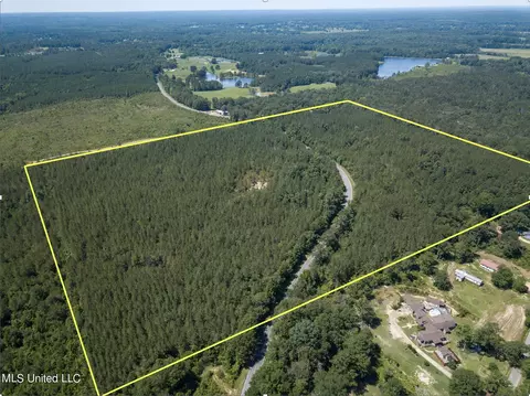 Jupiter Road, Mendenhall, MS 39114 photo 21