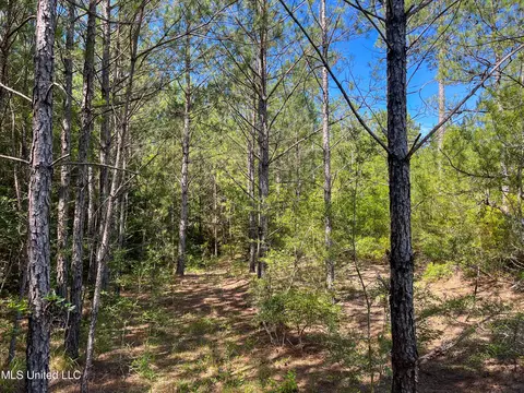 Jupiter Road, Mendenhall, MS 39114 photo 23