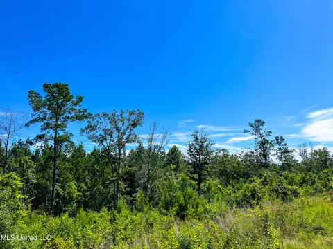 Jupiter Road, Mendenhall, MS 39114 photo 34
