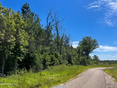 Jupiter Road, Mendenhall, MS 39114 photo 31