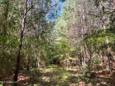 Jupiter Road, Mendenhall, MS 39114 photo 28