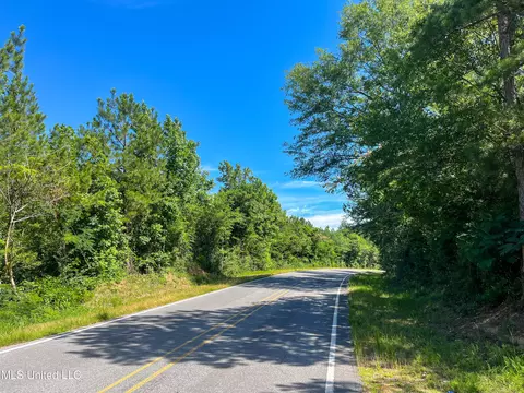 Jupiter Road, Mendenhall, MS 39114 photo 30