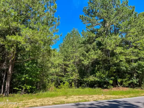 Jupiter Road, Mendenhall, MS 39114 photo 35