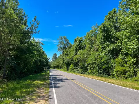 Jupiter Road, Mendenhall, MS 39114 photo 7