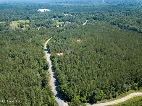 Jupiter Road, Mendenhall, MS 39114 photo 26