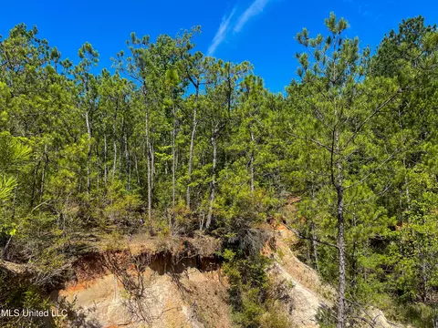 Jupiter Road, Mendenhall, MS 39114 photo 19