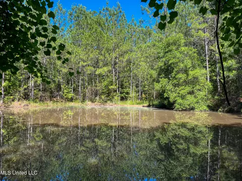 Jupiter Road, Mendenhall, MS 39114 photo 38