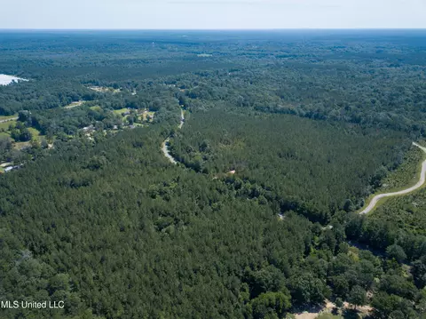 Jupiter Road, Mendenhall, MS 39114 photo 36