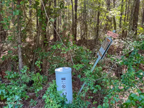 Jupiter Road, Mendenhall, MS 39114 photo 12