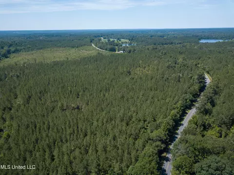 Jupiter Road, Mendenhall, MS 39114 photo 17