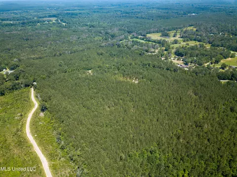 Jupiter Road, Mendenhall, MS 39114 photo 22