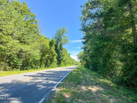 Jupiter Road, Mendenhall, MS 39114 photo 33