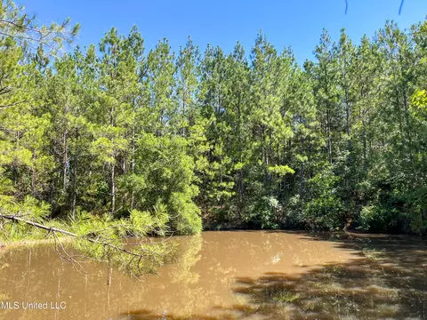 Jupiter Road, Mendenhall, MS 39114 photo 14