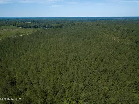 Jupiter Road, Mendenhall, MS 39114 photo 25