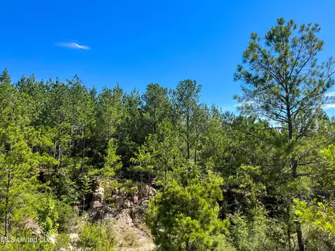 Jupiter Road, Mendenhall, MS 39114 photo 18