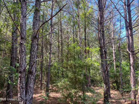 Jupiter Road, Mendenhall, MS 39114 photo 29