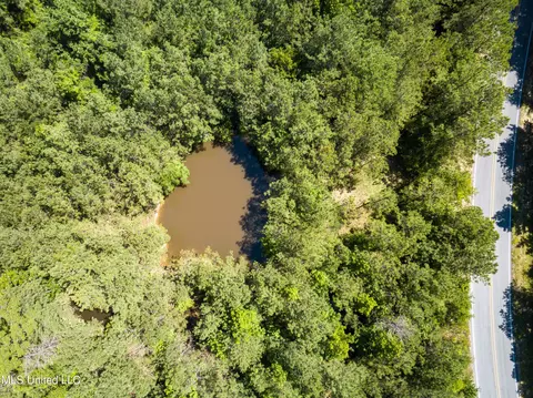 Jupiter Road, Mendenhall, MS 39114 photo 13