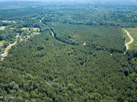 Jupiter Road, Mendenhall, MS 39114 photo 10