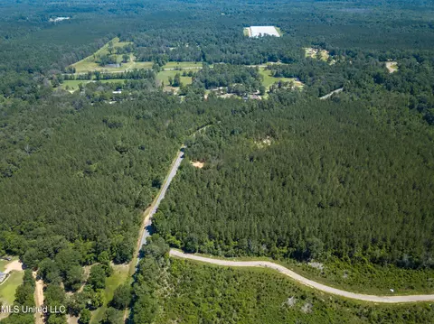 Jupiter Road, Mendenhall, MS 39114 photo 2