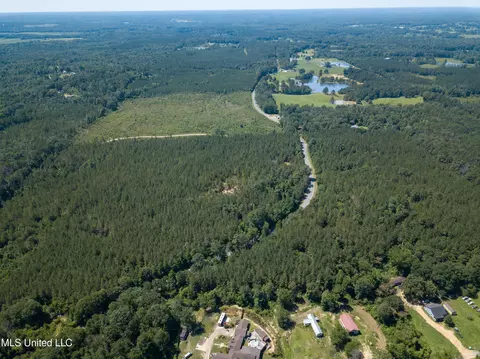 Jupiter Road, Mendenhall, MS 39114 photo 15