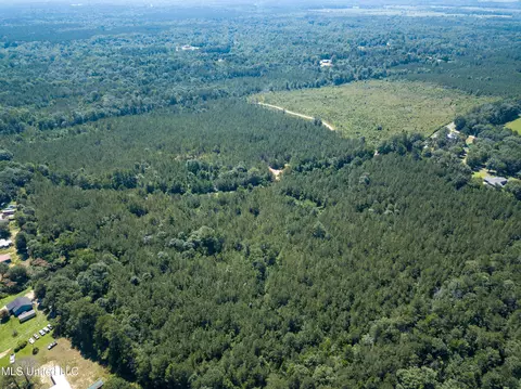 Jupiter Road, Mendenhall, MS 39114 photo 16