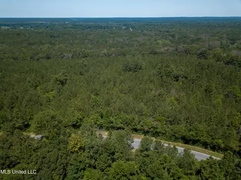Jupiter Road, Mendenhall, MS 39114 photo 27