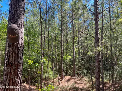 Jupiter Road, Mendenhall, MS 39114 photo 20