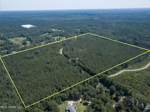 Jupiter Road, Mendenhall, MS 39114 photo 11