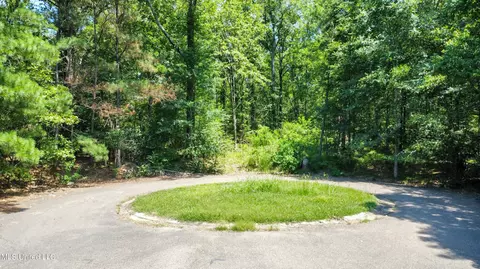 0 Shady Brook Cv, Byram, MS 39272 photo 3