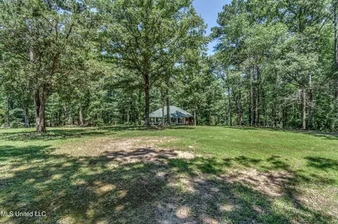 Exterior - 245 Coon Hunters Rd, Brandon, MS 39042 photo 23 of 23