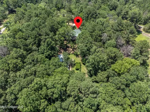 View/Area - 245 Coon Hunters Rd, Brandon, MS 39042 photo 3 of 5