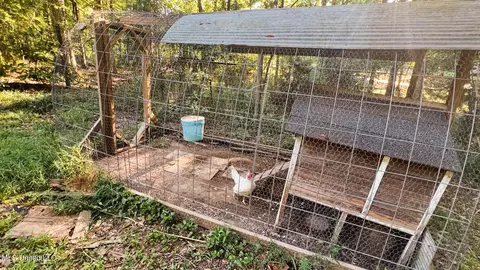 Exterior - 245 Coon Hunters Rd, Brandon, MS 39042 photo 13 of 23