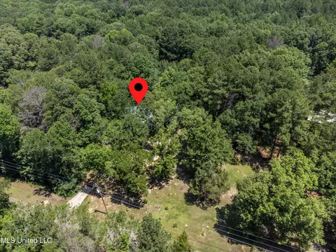 View/Area - 245 Coon Hunters Rd, Brandon, MS 39042 photo 1 of 5