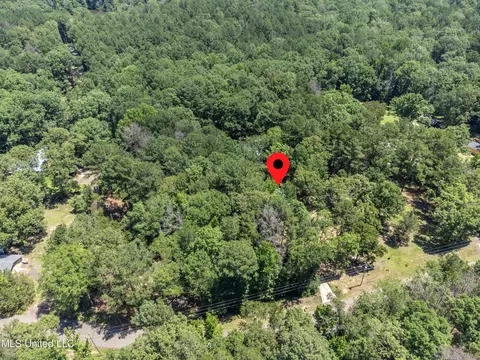 View/Area - 245 Coon Hunters Rd, Brandon, MS 39042 photo 5 of 5