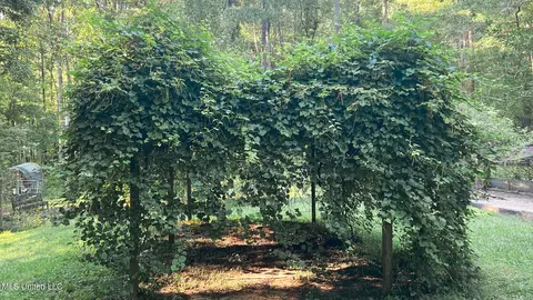 Exterior - 245 Coon Hunters Rd, Brandon, MS 39042 photo 16 of 23